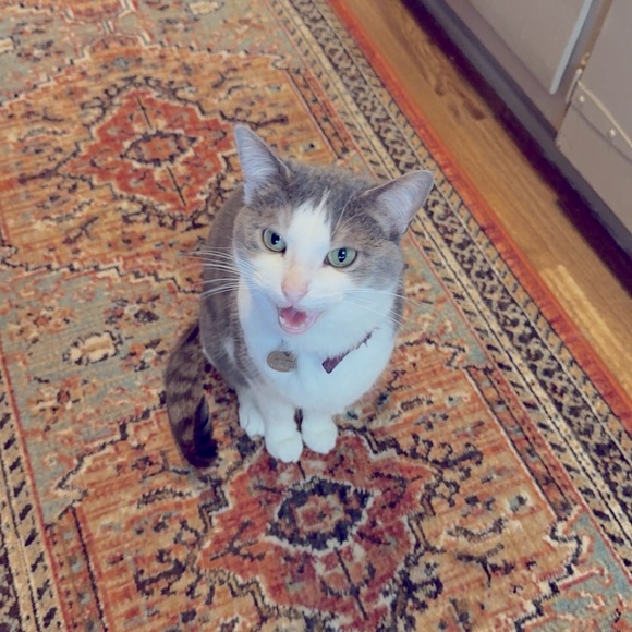 Meet your Posher, Rachael - Picture 10 of 14